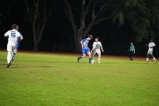 Enlarge photo 558