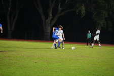 Enlarge photo 562