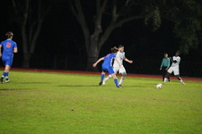 Enlarge photo 563