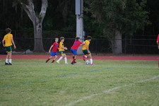 Enlarge photo 16
