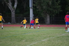 Enlarge photo 19
