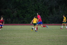 Enlarge photo 33