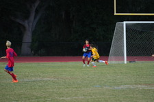 Enlarge photo 41