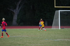 Enlarge photo 42