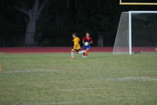Enlarge photo 45