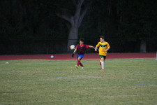 Enlarge photo 46