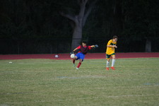 Enlarge photo 48