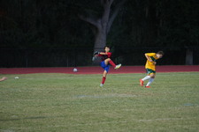 Enlarge photo 51