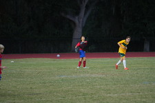 Enlarge photo 53