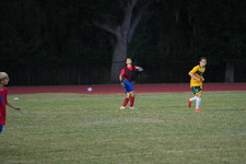Enlarge photo 54