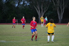 Enlarge photo 57