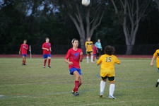 Enlarge photo 58