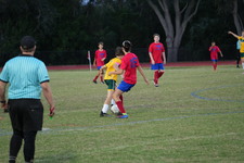 Enlarge photo 67