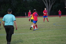 Enlarge photo 69