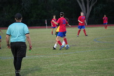 Enlarge photo 71