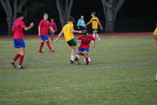 Enlarge photo 74
