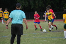 Enlarge photo 78