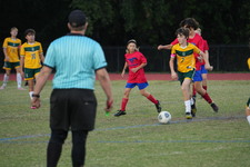 Enlarge photo 79