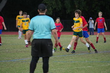 Enlarge photo 81