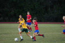 Enlarge photo 84