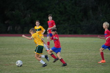 Enlarge photo 85
