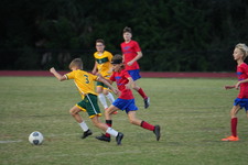 Enlarge photo 86