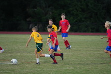 Enlarge photo 87