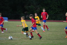 Enlarge photo 88