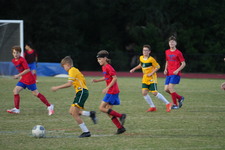Enlarge photo 90