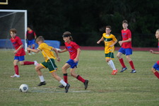 Enlarge photo 91