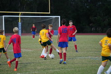 Enlarge photo 108