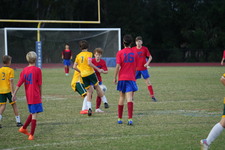 Enlarge photo 109
