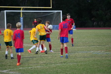 Enlarge photo 112