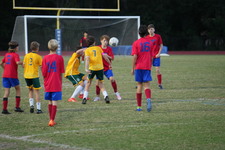 Enlarge photo 111