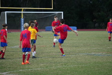 Enlarge photo 116