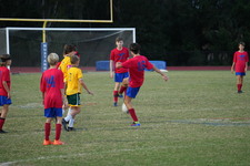 Enlarge photo 117