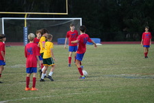 Enlarge photo 118