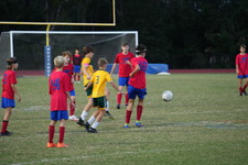 Enlarge photo 120