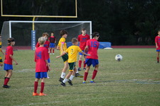 Enlarge photo 121