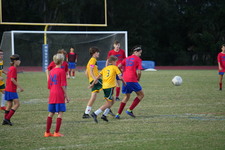 Enlarge photo 122
