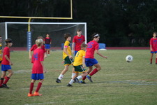 Enlarge photo 123