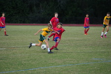 Enlarge photo 127