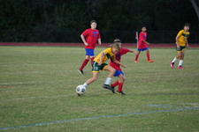 Enlarge photo 128