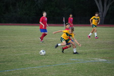 Enlarge photo 131