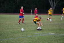 Enlarge photo 130