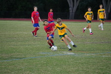 Enlarge photo 132