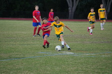Enlarge photo 133