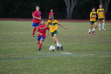 Enlarge photo 135