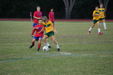 Enlarge photo 134