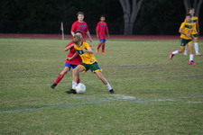 Enlarge photo 138